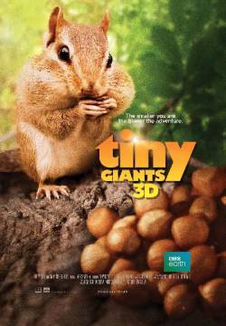 Tiny Giants