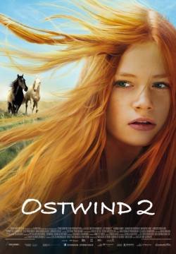 Windstorm 2 - Contro ogni regola