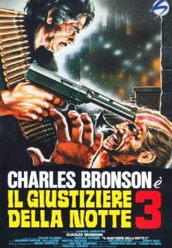Il giustiziere della notte 3