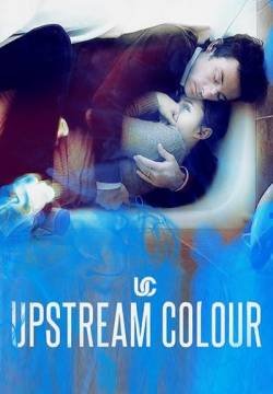 Upstream Color