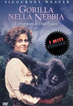 Gorilla nella nebbia