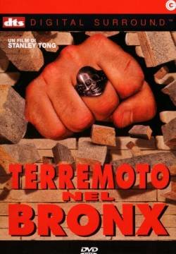 Terremoto nel Bronx