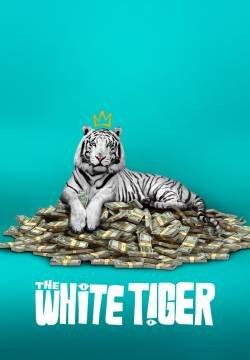La tigre bianca